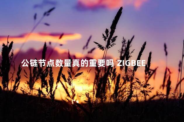 公链节点数量真的重要吗 ZIGBEE节点数量